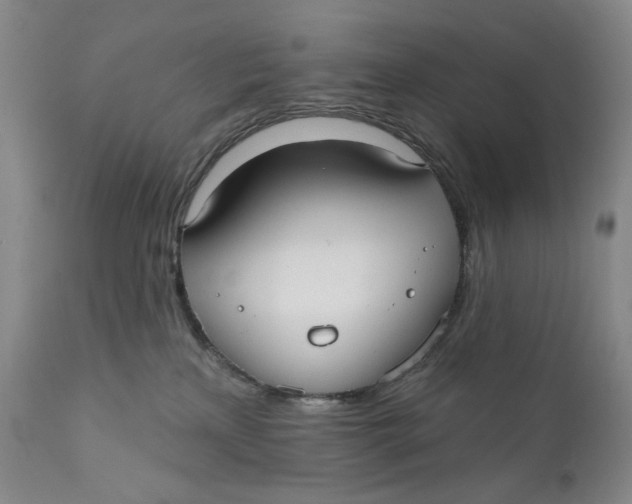 X0000110920233200907091505