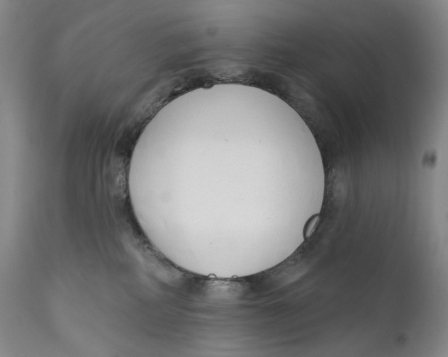 X0000110920234200907091505