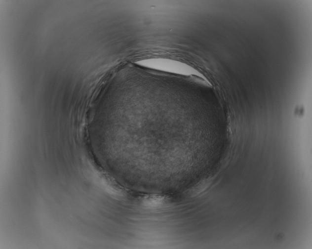 X0000110920235200907091505