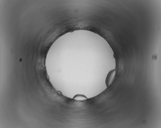 X0000110920236200907091505