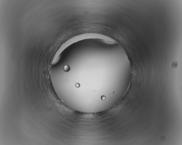 X0000110920237200907091505