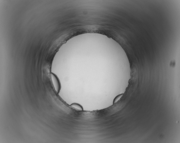 X0000110920238200907091505