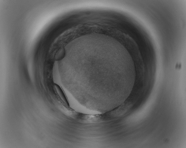 X0000110920239200907091505