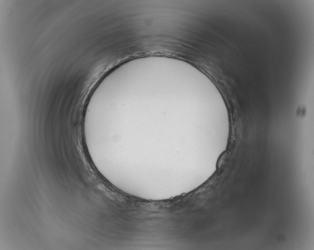 X0000110920241200907091504