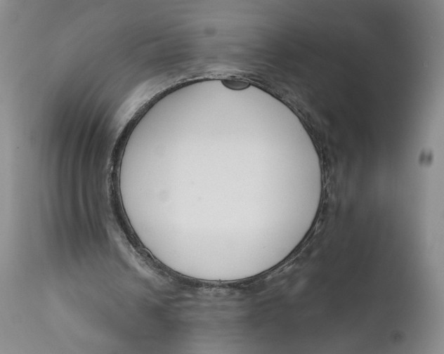 X0000110920242200907091504