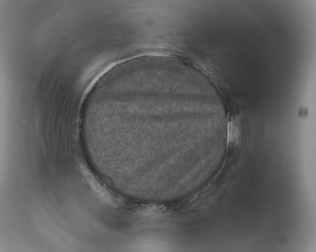 X0000110920243200907091504