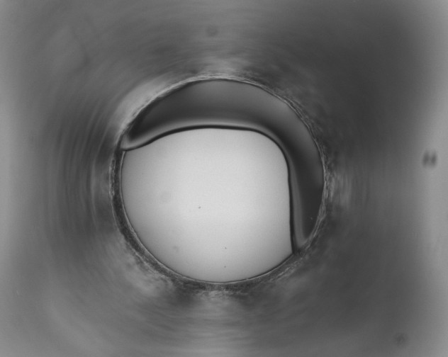 X0000110920244200907091504