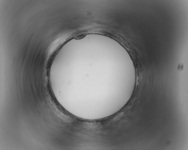X0000110920245200907091504