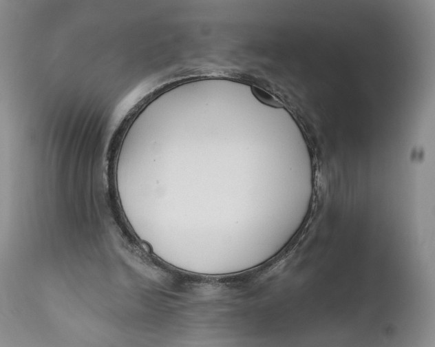 X0000110920246200907091504