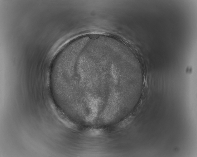 X0000110920247200907091504