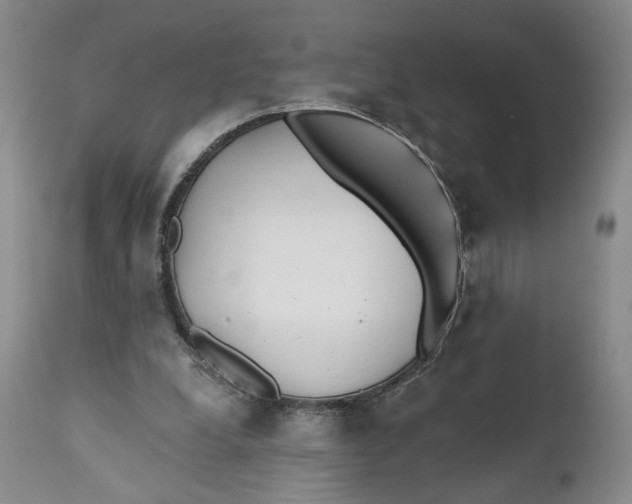 X0000110920248200907091504