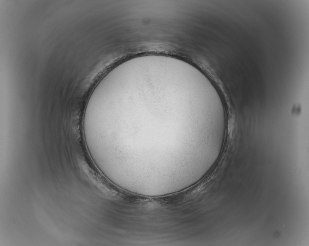 X0000110920249200907091504