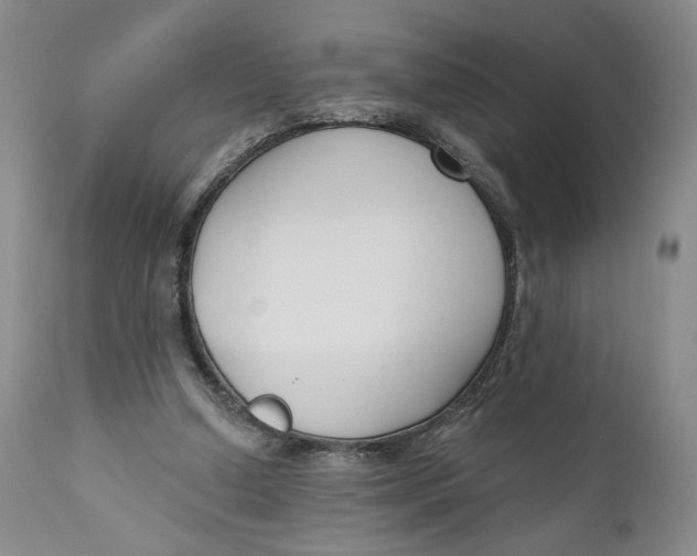 X0000110920250200907091504