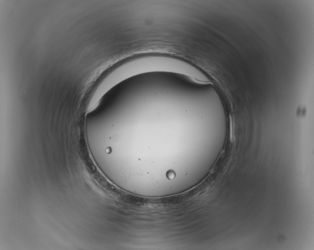 X0000110920252200907091504