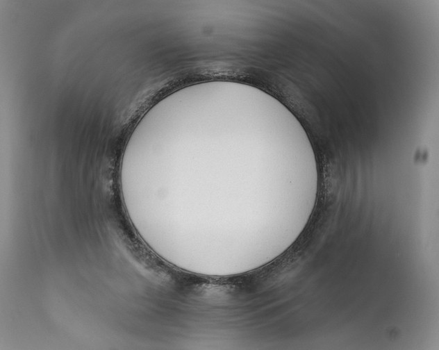 X0000110920255200907091504