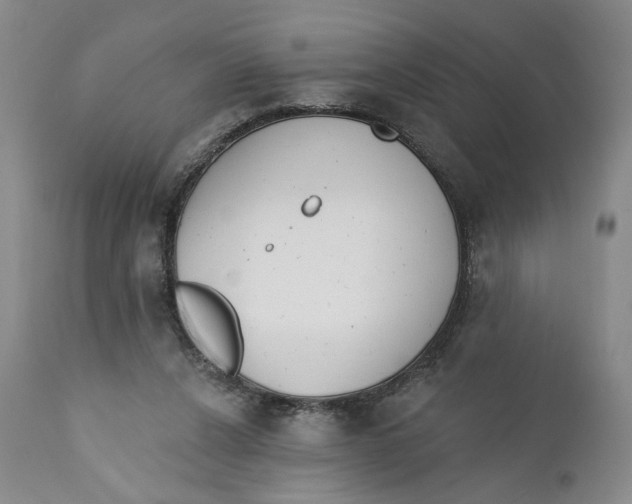 X0000110920256200907091504