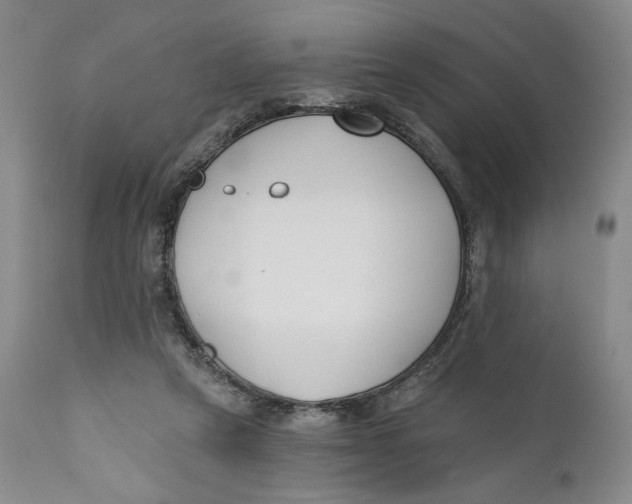 X0000110920257200907091504