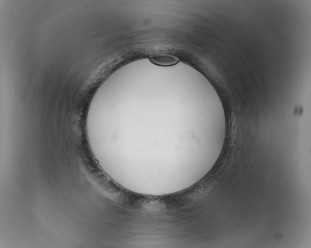 X0000110920258200907091504