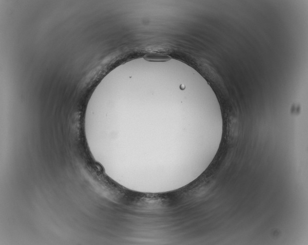 X0000110920260200907091504