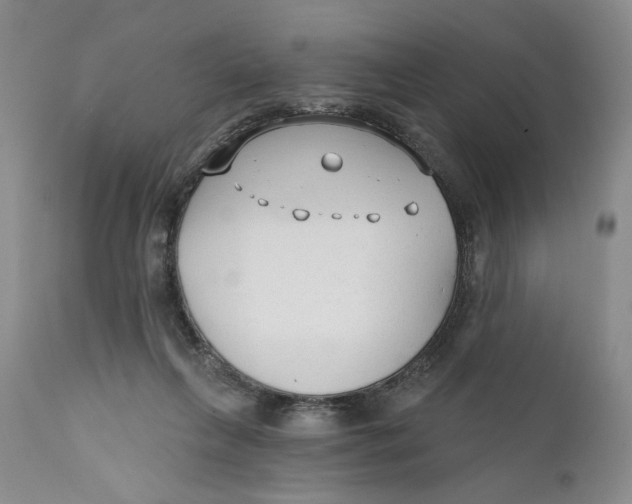 X0000110920263200907091504