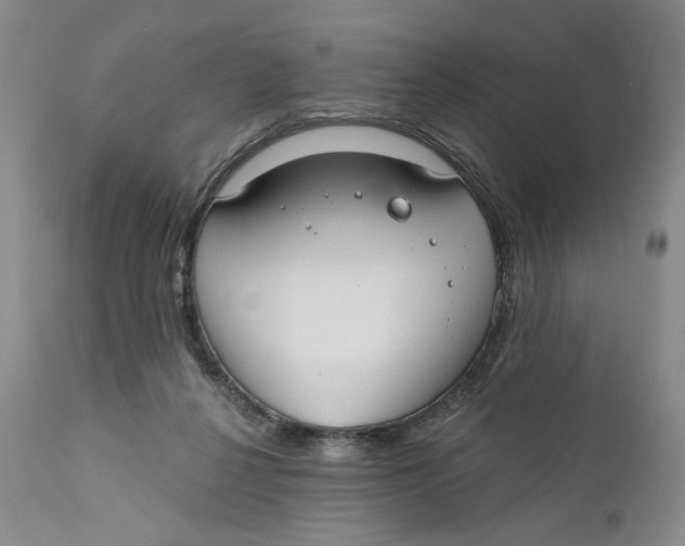X0000110920264200907091504
