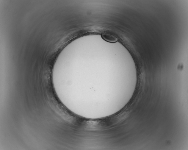 X0000110920265200907091504