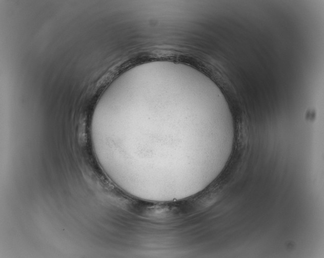 X0000110920267200907091504