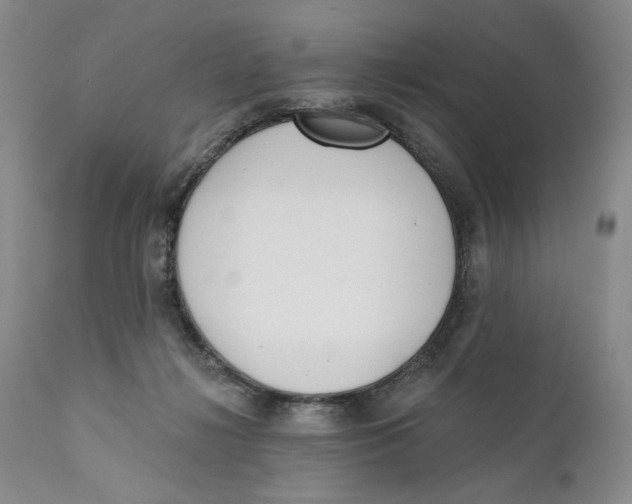 X0000110920268200907091504