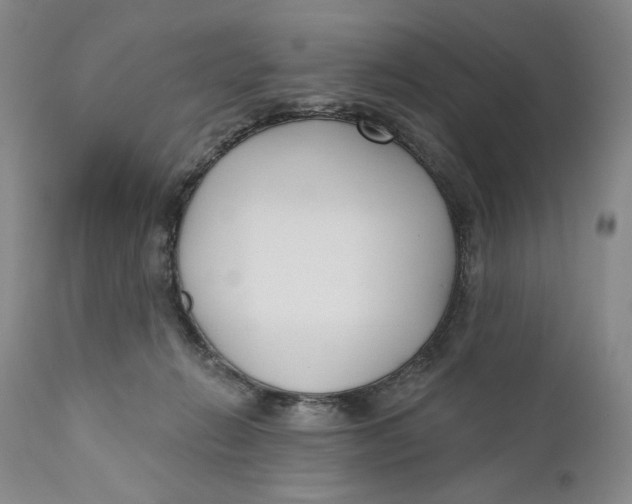 X0000110920270200907091504