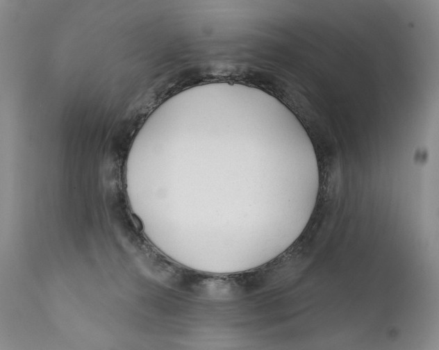 X0000110920272200907091505