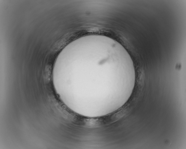 X0000110920273200907091505
