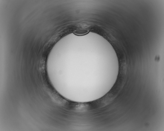 X0000110920274200907091505