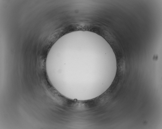 X0000110920276200907091505