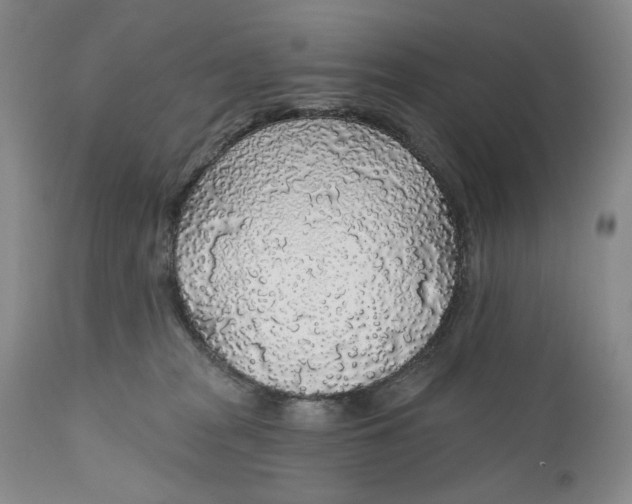 X0000110920277200907091505