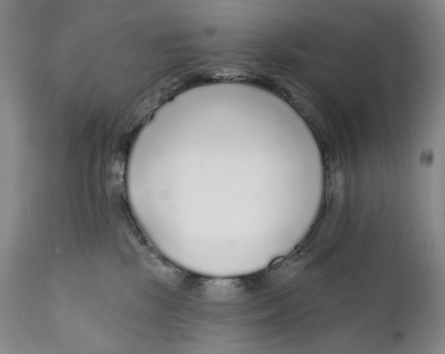 X0000110920281200907091505
