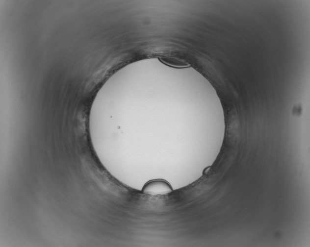 X0000110920282200907091505