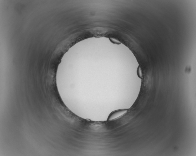 X0000110920283200907091505