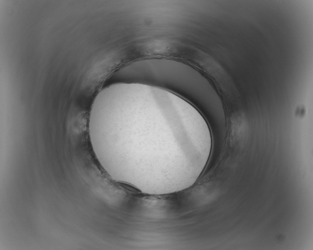 X0000110920284200907091505