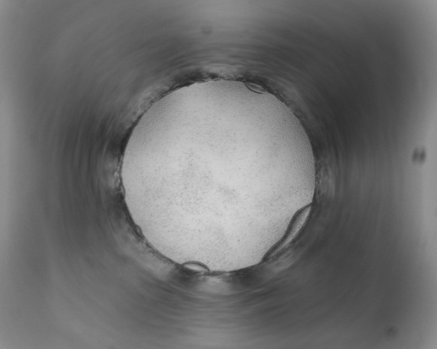 X0000110920285200907091505