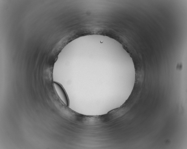 X0000110920286200907091505
