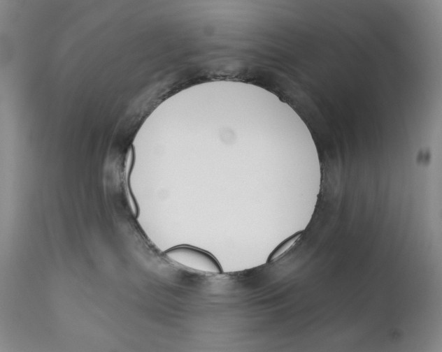 X0000110920287200907091505