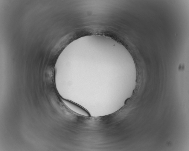 X0000110920288200907091505