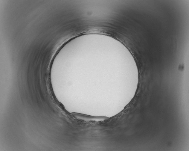 X0000110920289200907091504