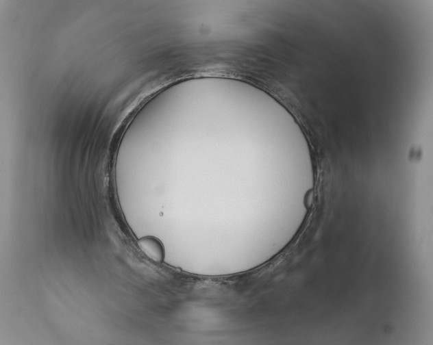 X0000110920290200907091504