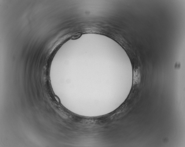 X0000110920291200907091504