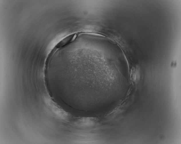 X0000110920292200907091504