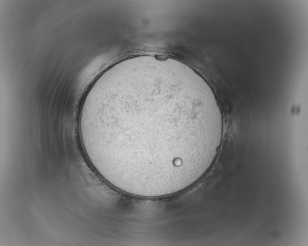 X0000110920293200907091504
