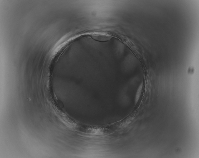 X0000110920295200907091504