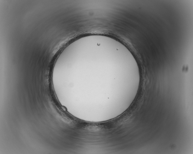 X0000110920299200907091504