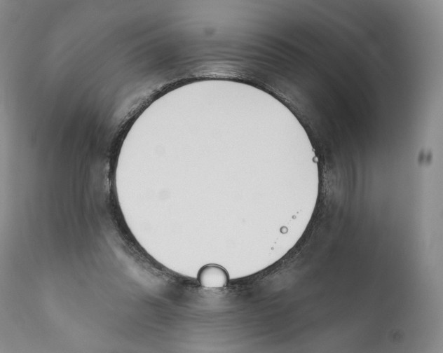 X0000110920302200907091504